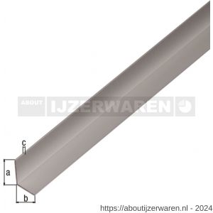 GAH Alberts hoekprofiel aluminium zilver geeloxeerd 9,5x7,5x1,5 mm 1 m - W51501878 - afbeelding 1