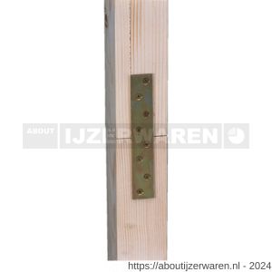 GAH Alberts verbindingsplaat sendzimir verzinkt 170x30 mm - W51500250 - afbeelding 3