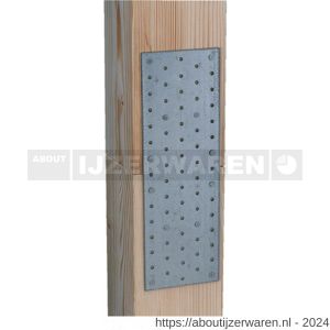 GAH Alberts verbindingsplaat strippen verzinkt 1000x40x2 mm - W51500264 - afbeelding 2