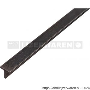 GAH Alberts T-profiel staal ruw 20x20x3 mm 2 m - W51501328 - afbeelding 1