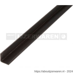 GAH Alberts hoekprofiel glad koudgewalst 20x20x2 mm 2 m - W51501142 - afbeelding 1