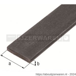 GAH Alberts platte stang staal ruw warmgewalst 10x2 mm 1 m - W51501254 - afbeelding 2