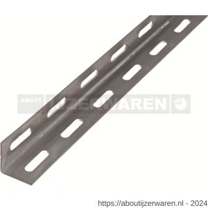 GAH Alberts hoekprofiel geperforeerd verzinkt staal 27x27x1,5 mm 2 m - W51501151 - afbeelding 1