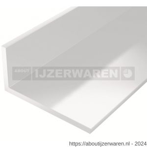 GAH Alberts hoekprofiel PVC wit 25x20x2 mm 2,6 m - W51501051 - afbeelding 1