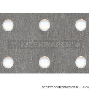 GAH Alberts geperforeerde plaat staal gegalvaniseerd 300x1000x1,5 mm - W51501731 - afbeelding 1