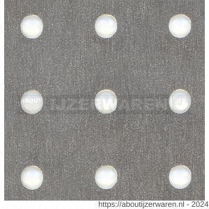 GAH Alberts geperforeerde plaat staal gegalvaniseerd 300x1000x1,5 mm - W51501731 - afbeelding 2