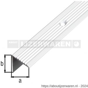 GAH Alberts trapbeschermingslijst aluminium zilver geeloxeerd 19x19x2 mm 1 m - W51501899 - afbeelding 1