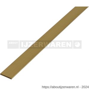 GAH Alberts platte stang messing 20x2 mm 1 m - W51501241 - afbeelding 1