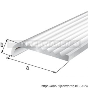 GAH Alberts trapbeschermingslijst aluminium zilver geeloxeerd 23x5x2,0 mm 2 m - W51501504 - afbeelding 2