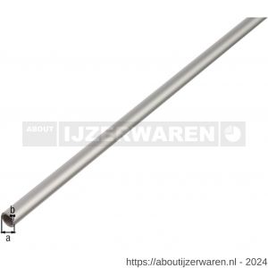 GAH Alberts ronde buis aluminium zilver 25x1,5 mm 2,6 m - W51501848 - afbeelding 1