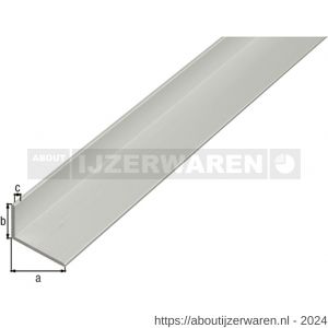 GAH Alberts hoekprofiel aluminium zilver 30x20x2 mm 2,6 m - W51501834 - afbeelding 1