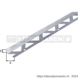 GAH Alberts afsluitprofiel tegels RVS 23,5x8 mm 2,5 m - W51501898 - afbeelding 1