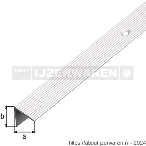 GAH Alberts trapbeschermingslijst aluminium brons geeloxeerd 21x21x1,8 mm 2 m - W51501906 - afbeelding 1