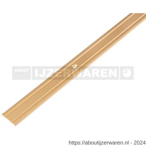 GAH Alberts overgangsprofiel aluminium goud verzonken schroefgat 25 mm 2 m - W51501598 - afbeelding 1