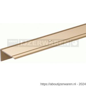 GAH Alberts trapbeschermingslijst geboord aluminium zandkleur geeloxeerd 43x23 mm 1 m SB - W51501513 - afbeelding 1