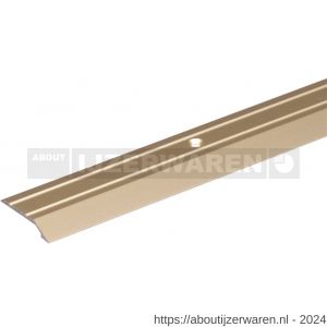 GAH Alberts compensatieprofiel geboord aluminium zilver 30x4 mm 0,9 m SB - W51500667 - afbeelding 1