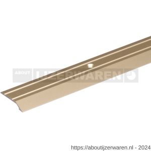 GAH Alberts compensatieprofiel geboord aluminium zand geeloxeerd 39x8 mm 0,9 m SB - W51500668 - afbeelding 1