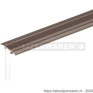 GAH Alberts overgangsprofiel onzichtbaar aluminium RVS geeloxeerd 32 mm 0,9 m SB - W51501564 - afbeelding 1