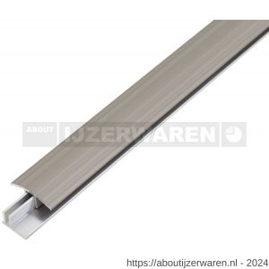 GAH Alberts overgangsprofiel Duo aluminium RVS geeloxeerd 34 mm 1 m SB - W51501573 - afbeelding 1