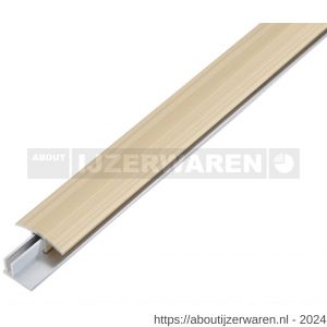 GAH Alberts overgangsprofiel Duo aluminium zand geeloxeerd 34 mm 1 m SB - W51501575 - afbeelding 1