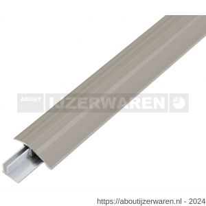 GAH Alberts compensatieprofiel Duo aluminium RVS geeloxeerd 44 mm 1 m SB - W51500657 - afbeelding 1