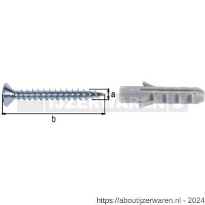 GAH Alberts schroef- en pluggenset staal diameter 3x25 mm set 10 stuks - W51500002 - afbeelding 1