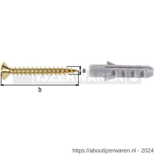 GAH Alberts schroef- en pluggenset staal messing diameter 3x25 mm set 10 stuks - W51500003 - afbeelding 1