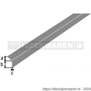 GAH Alberts hoekprofiel zelfklevend PVC metallic 20x20x1,5 mm 2 m - W51500699 - afbeelding 1