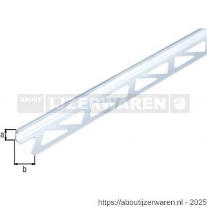 GAH Alberts afsluitprofiel tegels aluminium zilver geeloxeerd 10 mm 2,5 m - W51500651 - afbeelding 2