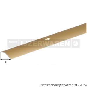 GAH Alberts overgangsprofiel staal messing 30 mm 0,9 m - W51501578 - afbeelding 2