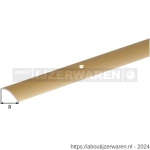 GAH Alberts overgangsprofiel staal messing 40 mm 0,9 m - W51501579 - afbeelding 2