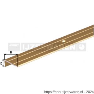 GAH Alberts trapbeschermingslijst aluminium goud geeloxeerd 24,5x10x1,5 mm 1 m - W51501520 - afbeelding 2