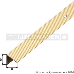 GAH Alberts trapbeschermingslijst aluminium goud geeloxeerd 21x21x1,8 mm 1 m - W51501523 - afbeelding 2