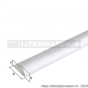 GAH Alberts afsluitprofiel afdeklijst aluminium zilver geeloxeerd 24,5x13,5 mm 2 m - W51501606 - afbeelding 2