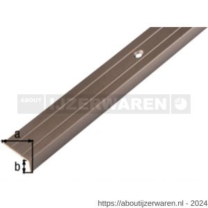 GAH Alberts trapbeschermingslijst aluminium brons geeloxeerd 24,5x10x1,5 mm 2 m - W51501527 - afbeelding 2