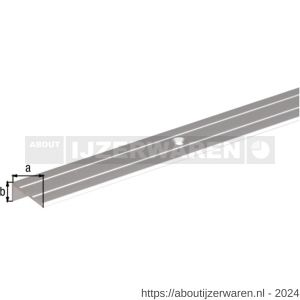 GAH Alberts trapbeschermingslijst aluminium zilver geeloxeerd 24,5x20x1,5 mm 2 m - W51501528 - afbeelding 2