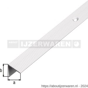 GAH Alberts trapbeschermingslijst aluminium zilver geeloxeerd 21x21x1,8 mm 2 m - W51501530 - afbeelding 2