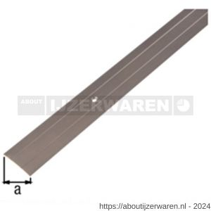 GAH Alberts overgangsprofiel aluminium brons verzonken schroefgaten 38 mm 2 m - W51501586 - afbeelding 2