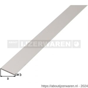 GAH Alberts platte stang aluminium zilver 30x2 mm 2,6 m - W51501202 - afbeelding 2