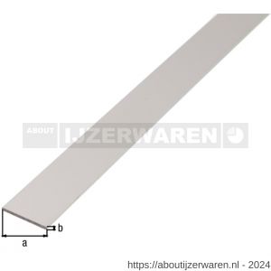 GAH Alberts platte stang aluminium zilver 40x3 mm 2,6 m - W51501206 - afbeelding 2