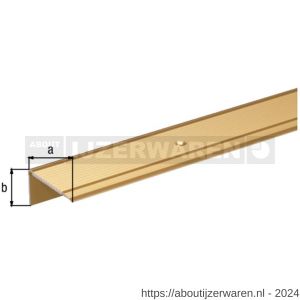 GAH Alberts trapbeschermingslijst aluminium goud geeloxeerd 45x23x2,7 mm 1 m - W51501533 - afbeelding 2