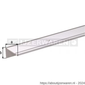 GAH Alberts trapbeschermingslijst aluminium zilver geeloxeerd 45x23x2,7 mm 2 m - W51501535 - afbeelding 2