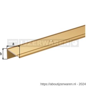 GAH Alberts trapbeschermingslijst aluminium goud geeloxeerd 45x23x2,7 mm 2 m - W51501536 - afbeelding 2