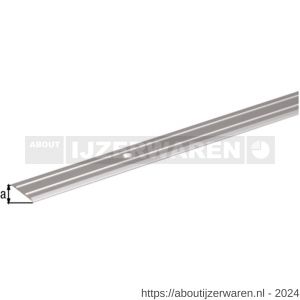 GAH Alberts overgangsprofiel aluminium zilver verzonken schroefgat 25 mm 0,9 m - W51501596 - afbeelding 2