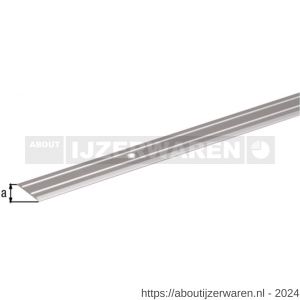 GAH Alberts overgangsprofiel aluminium zilver verzonken schroefgat 25 mm 2 m - W51501597 - afbeelding 2