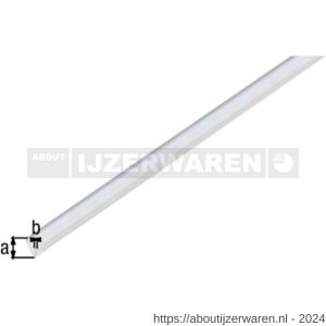 GAH Alberts klemprofiel PVC transparant 15x0,9 mm 1 m - W51501617 - afbeelding 2