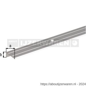 GAH Alberts trapbeschermingslijst geboord aluminium zilver geeloxeerd 24,5x10 mm 1 m SB - W51501514 - afbeelding 2