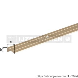 GAH Alberts trapbeschermingslijst geboord aluminium zandkleur geeloxeerd 24,5x10 mm 1 m SB - W51501511 - afbeelding 2