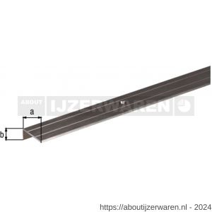 GAH Alberts trapbeschermingslijst geboord aluminium RVS geeloxeerd 24,5x10 mm 1 m SB - W51501508 - afbeelding 2