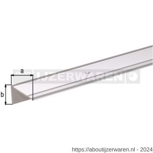 GAH Alberts trapbeschermingslijst geboord aluminium zilver geeloxeerd 43x23 mm 1 m SB - W51501516 - afbeelding 2